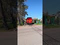 🌾🚂 Wąskotorówka na Żuławach⏳👀 Można to oglądać godzinami..