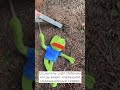#meme #мем #lightdefender #pepe #sadpepe