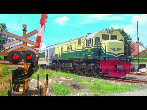 MENEMUKAN LOKOMOTIF VINTAGE!! di Perlintasan Kereta Api Krasak Brebes