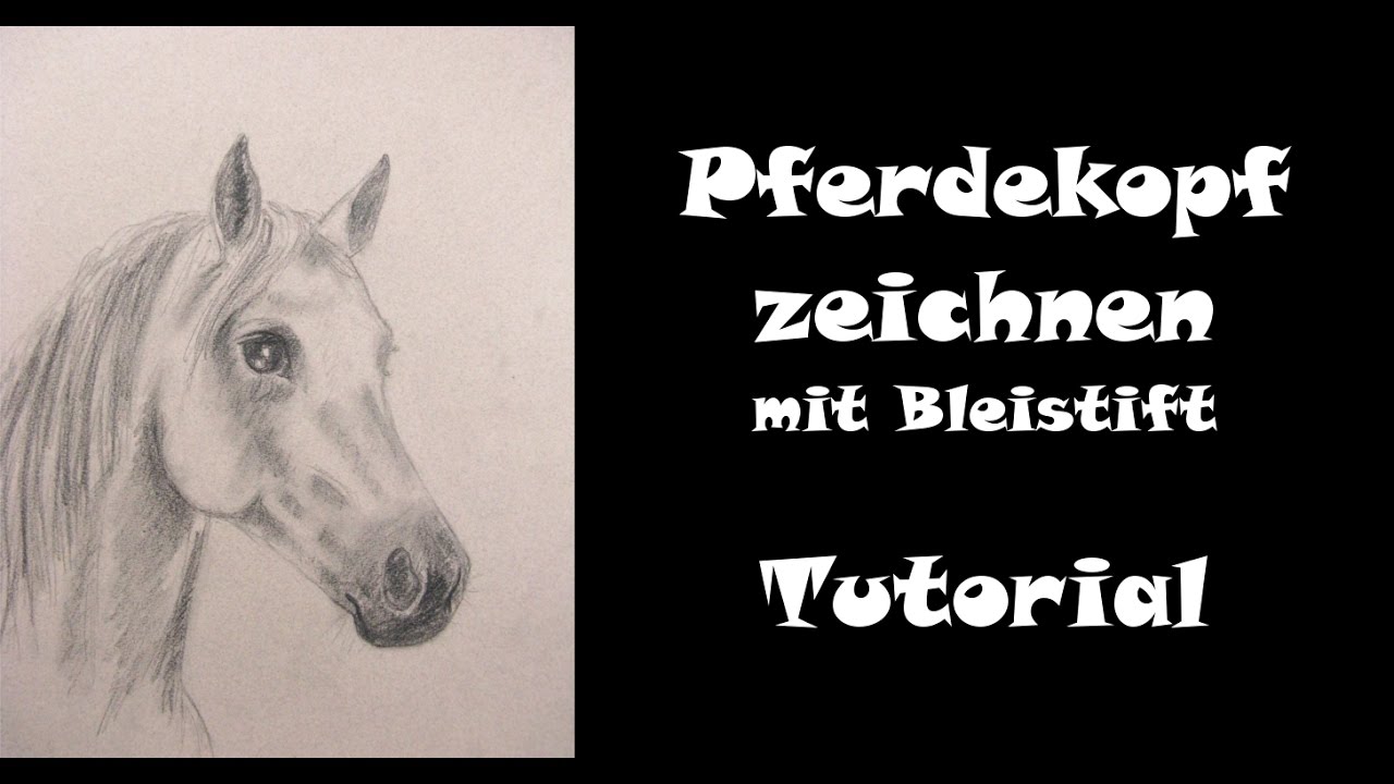 Zeichnen Lernen Mit Bleistift Tutorials Und Videos Mal Einfach Mit