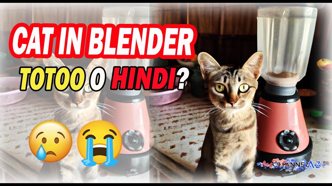 Cat blender video