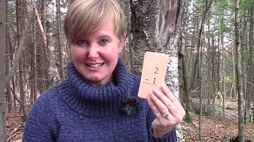 Grade 1: Math Lesson #44 Subtracting 1 From A Number