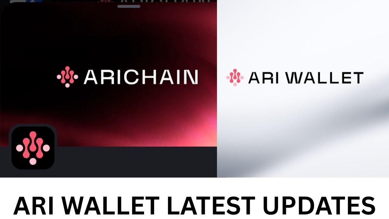 Latest updates on Ari wallet and EVM Wallet address submit, all you ...