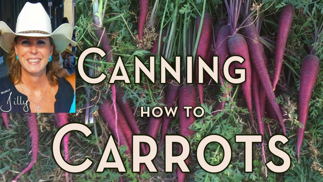 How to Can Carrots in a Pressure Cooker Canning Carrots Recipe YouTube