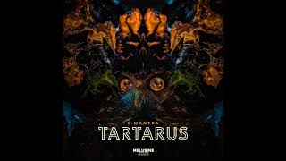 E-Mantra  - Tartarus (Melusine Records 2019 )