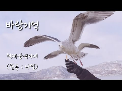 바람기억 / 나얼 / 커버곡 / 뮤직비디오 제작 / 가사있음 / Memory of The Wind MV / NAUL