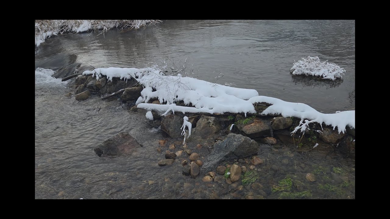 Beaver update part 6