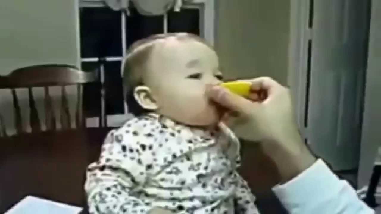 Kumpulan Video Bayi Lucu Makan Lemon YouTube