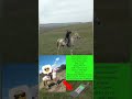 🔥🔥АЙҒЫР САТЫЛАДЫ🔥🔥#малбазар2023 #compilation #horse #horseriding #war #rek #жеребец