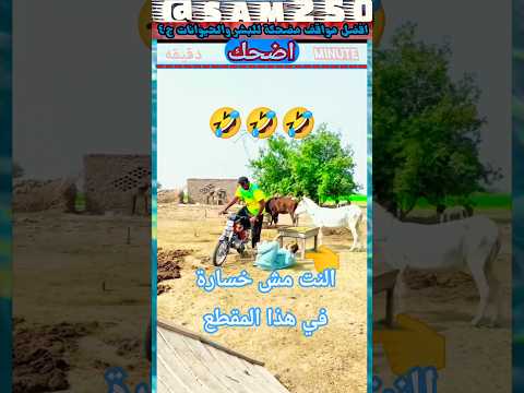 مواقف مضحكه للبشر والحيوانات غبية شوية ج٤ ضحك    الجزائر السعودية