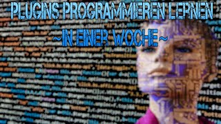 Minecraft Plugins programmieren lernen in einer Woche | Selbstexperiment |
