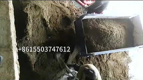 Screw solid liquid separator machine Manure dryer equipment Pig / Chicken/ Cattle Manure Processor