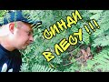 ВЛОГ СИНДИ отвыкла ОТ УЛИЦЫ ! Иду на прогулку с кошкой ! Батя Лёша