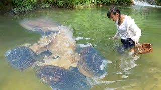 😱The Girl Opened The Huge Clam And Discovered A Hidden Treasure Of Pearls At The Bottom Of The Water