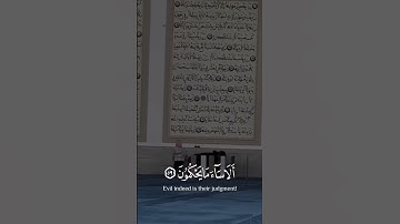 سورة النحل #القرآن_الكريم #quran #السعودية #الدوسري #تلاوات #الدعاء #اسلام_صبحي #العفاسي #اسلام #آية