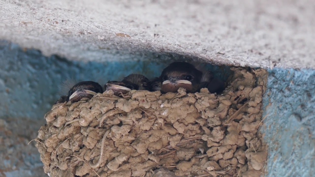 Attsu1の自由気ままに My Life 3ページ目