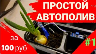 Самый простой автополив своими руками/автоматический полив/капельный полив своими руками