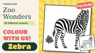 Colour Along for Kids: Zebra | Zoo Wonders Page 3 | Puddleleaf Studio