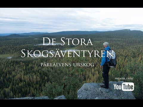 De stora skogsäventyren - Del 4 (Trailer)