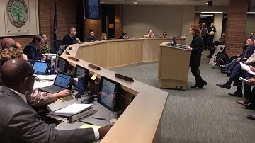 Christine Crockett speaks about Core Spaces proposal for Library Lot in Ann Arbor