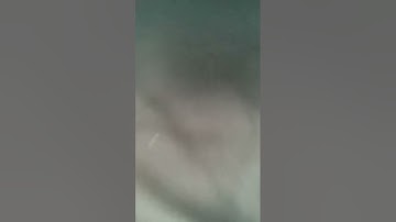 VHS Collection in the Nutshell (Version 6)