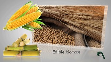 Crescentino Biorefinery in Italy