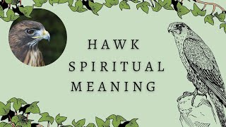 5 Reasons For Seeing The Hawk Spirit Animal Hawk Spiritual Symbolism