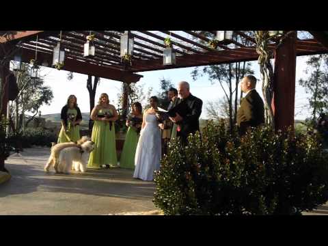 Matt and Cheri get Married! (Part 1)