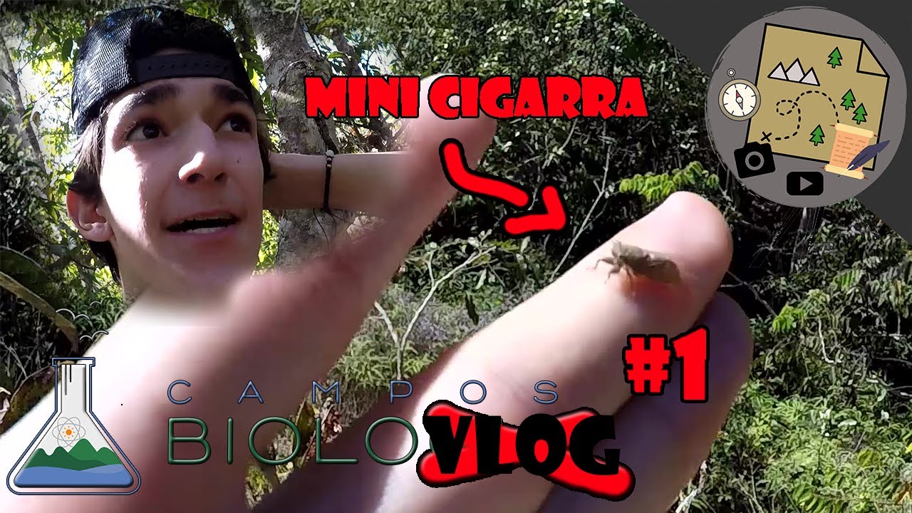 A menor Cigarra que eu já vi! Campos Biolovlog #1 | CAMPOS BIOLOGIA