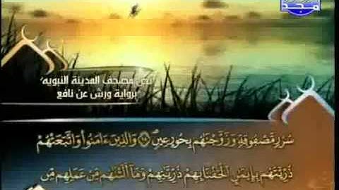 العيون الكوشي   سورة الطور