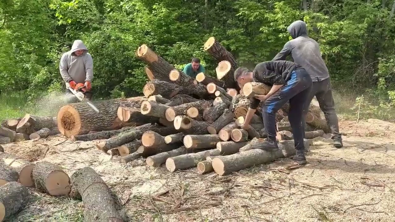 STIHL Power in the Wild