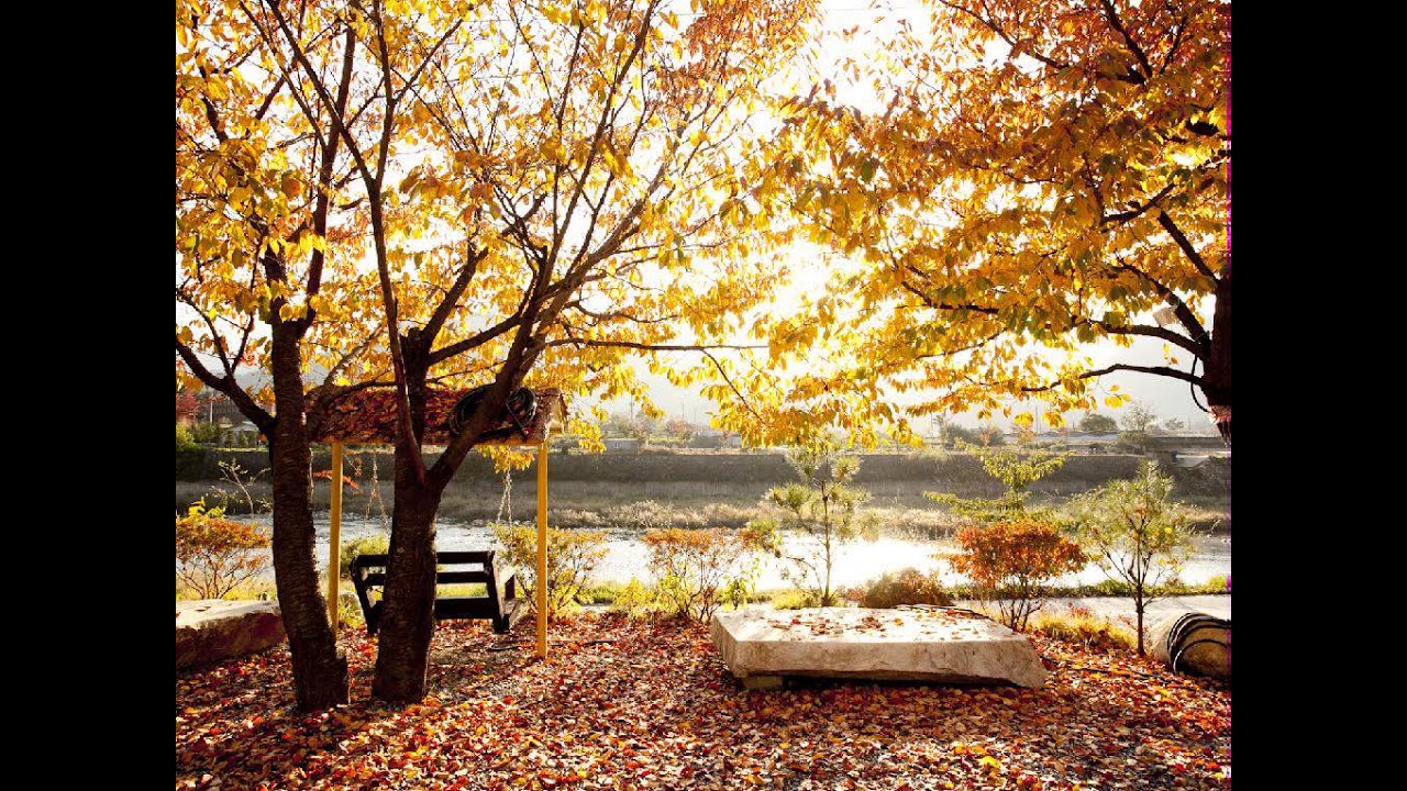 Ver [인기 성인가요] 박우진 - 칠천만의 아리랑 kpop 韓國歌謠 en YouTube