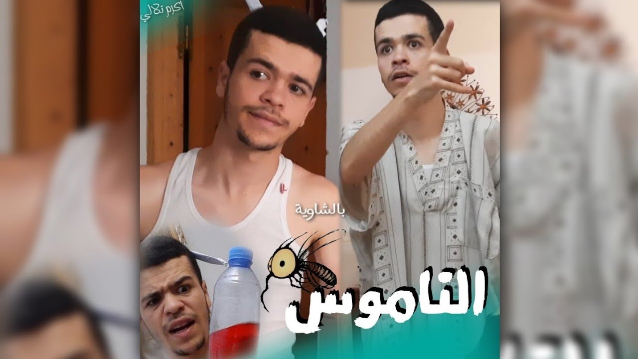 الناموس 🦟🦟 _ بالشاوية مترجم _