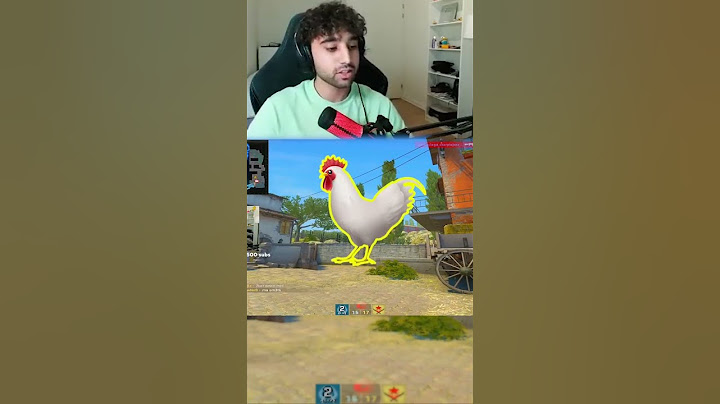 D0cC Against the Chicken 🐔😂 #shorts