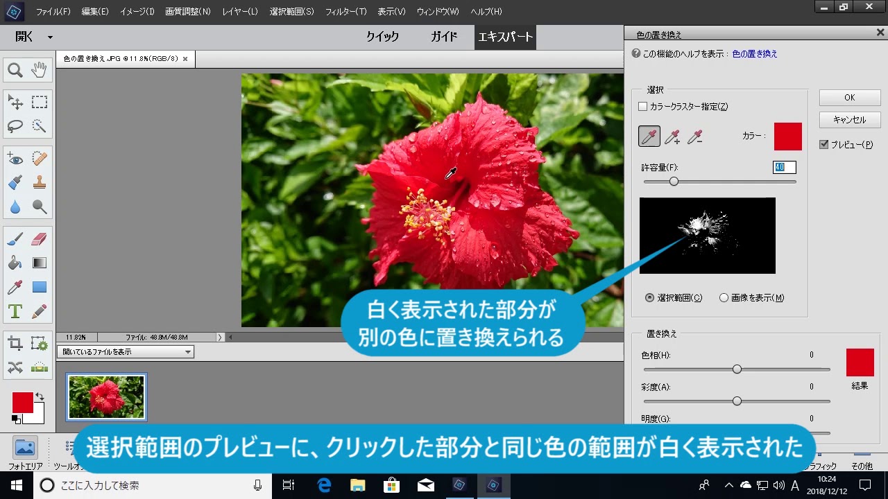 Photoshop Elements 19 特定の色を別の色に置き換えるには 色の置き換え Youtube