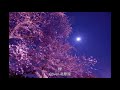 櫻/氷川きよし/Cover北原涼