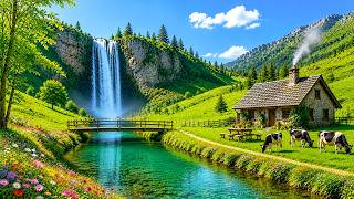 Calming Nature Music 🌲 Stop Overthinking, Relax Your Soul, Sleep Better