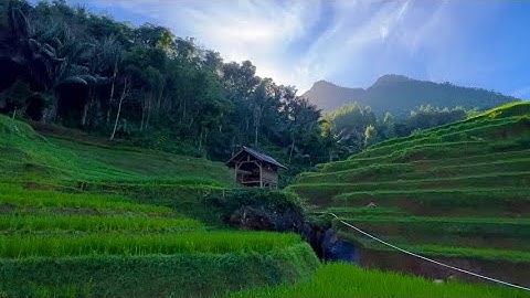 KECAPI SULING SUNDA MERDU & PEMANDANGAN ALAM INDAH | Suasana Pedesaan Jawa Barat, Garut, Banjarwangi