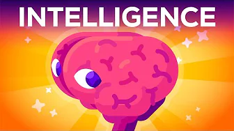 cover of episode What Is Intelligence? Where Does it Begin?