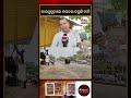 ଝାରସୁଗୁଡ଼ାରେ କଲବଲ କରୁଛି ତାତି