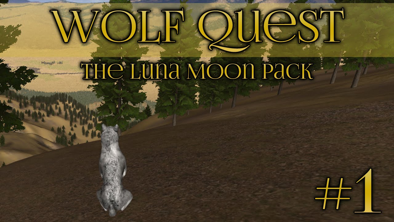 Wolf Quest Learning To Hunt Episode 1 YouTube Wolf Quest Learning To Hunt Episode 1 YouTube