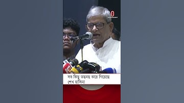 সব কিছু তছনছ করে গিয়েছে শেখ হাসিনা :মির্জা ফখরুল | BNP | Independent TV