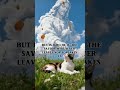 Let not your heart be troubled #god #jesus #Christian #Bible #Faithtalk #viralvideo #inspiration