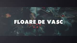 Yenic feat. Dibaci - "FLOARE DE VASC" (Lyrics Video)