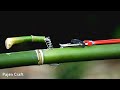 DIY Powerful Bamboo Slingshot