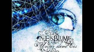 Eisblume - Unter dem Eis