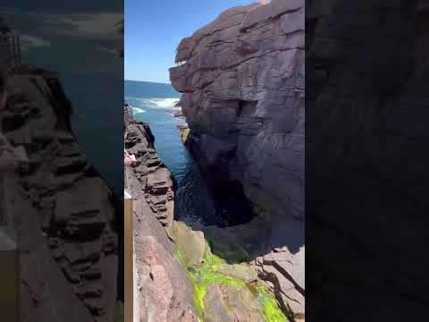 Vídeo: Viatge d'un dia al parc nacional d'Acadia, Maine