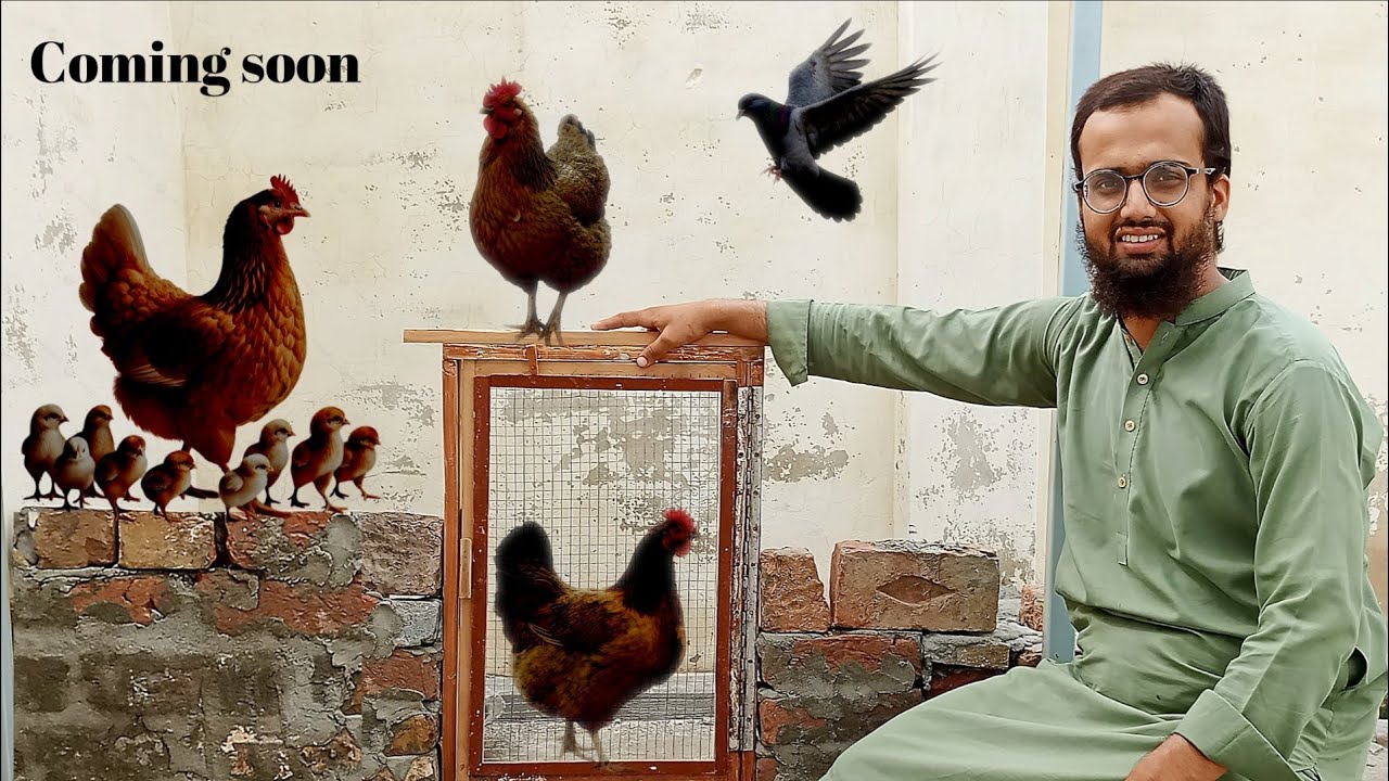 Apne New Birds 🦜 ka lia Birds Colony Ka Kam Start Ho Gaya🥰