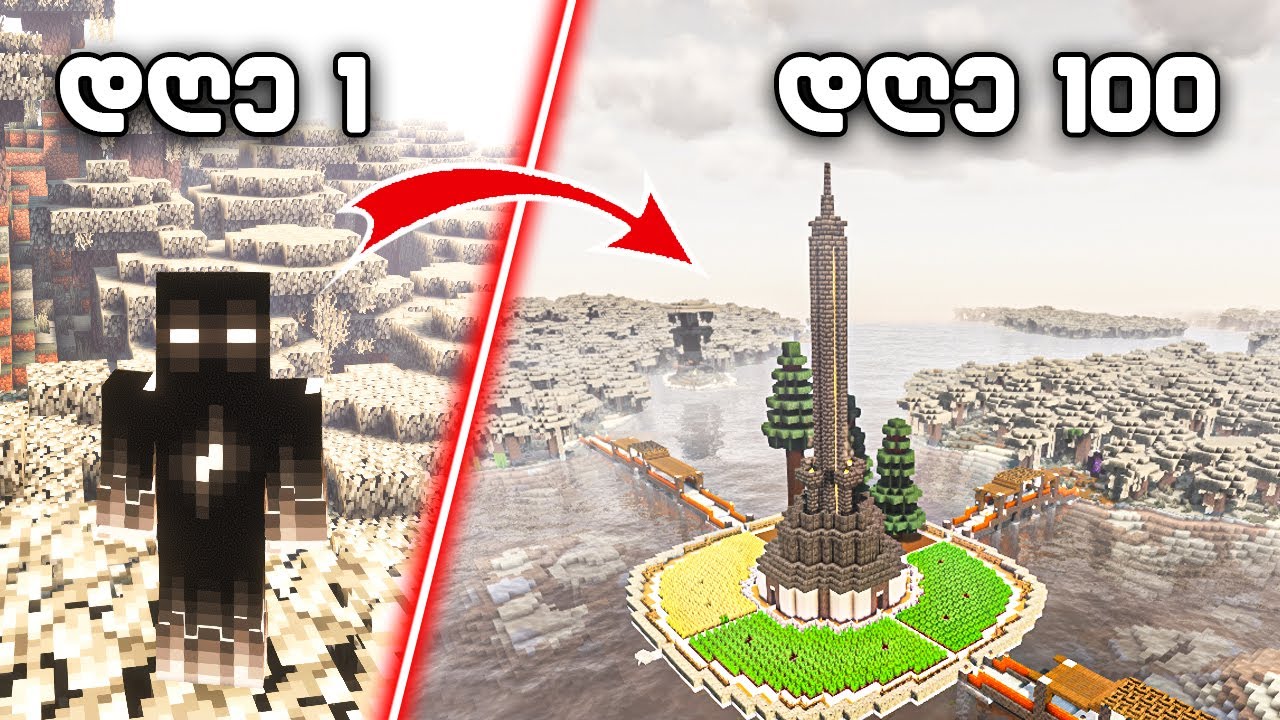 გადარჩე 100 დღე !!! MINECRAFT ნაცრისფერ ტყეში !