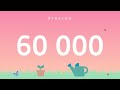 60 000 visiteurs par mois  twaino agence seo